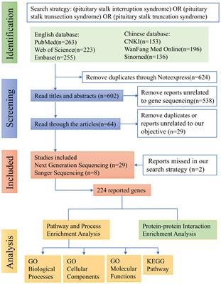 Re-analysis of gene mutations found in pituitary stalk interruption syndrome and a new hypothesis on the etiology